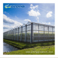 Venlo style glass horticultural greenhouse